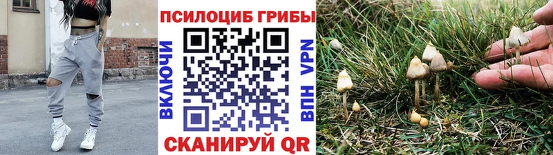 Псилоцибиновые грибы Magic Shrooms  Комсомольск 